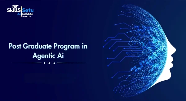 Pg Program In Agentic Ai 1