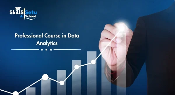 Professional Course In Data Analytics