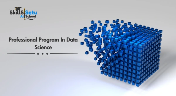 Online Data Science Training Course – Professional Program